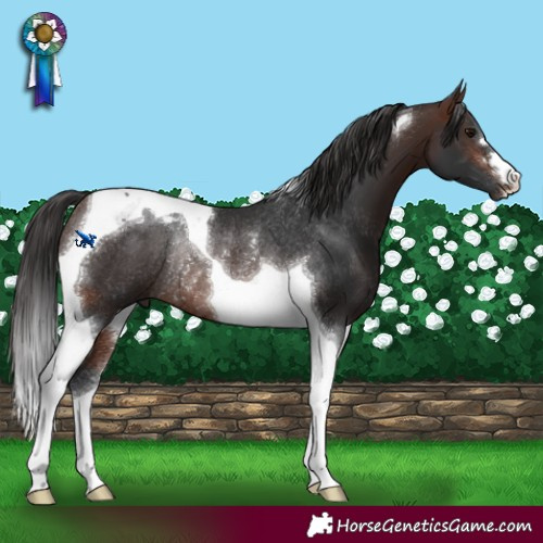 Horse Color:Brown Tobiano Rabicano