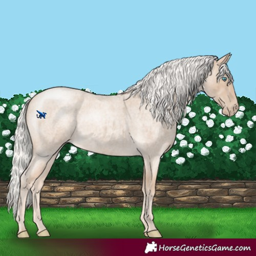 Horse Color:Silver Perlino Roan Rabicano 