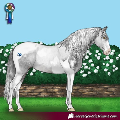 Horse Color:Brown Sabino Tobiano Blanket 