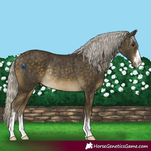 Horse Color:Silver Buckskin Rabicano 