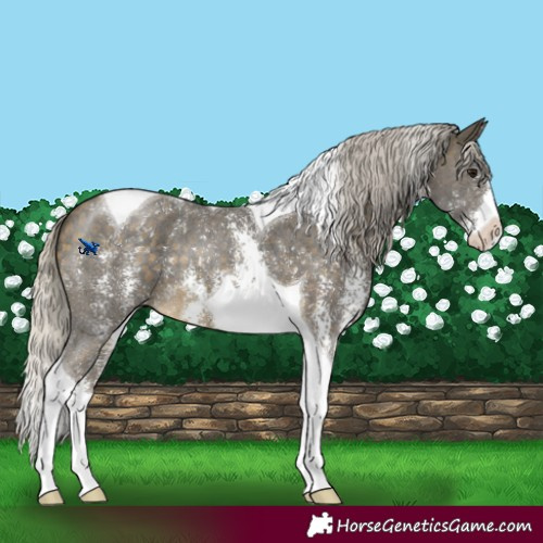 Horse Color:Silver Buckskin Sabino Tobiano 