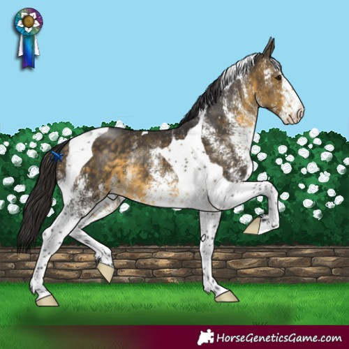Horse Color:White Spotted Buckskin Tobiano