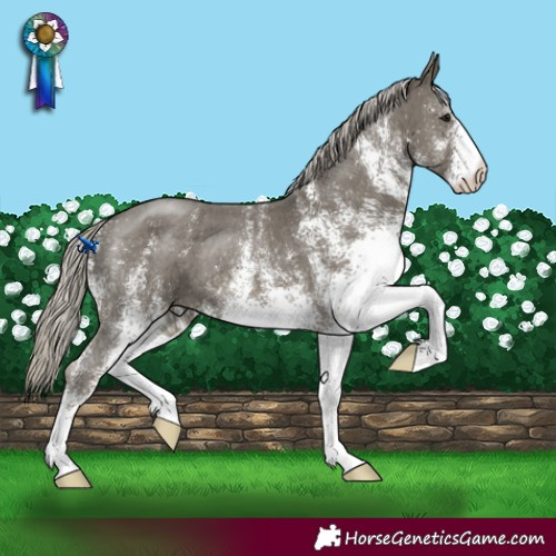 Horse Color:White Spotted Silver Smoky Black