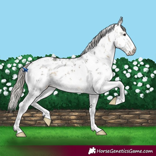 Horse Color:White Spotted Silver Buckskin Sabino 