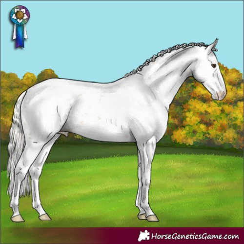 Horse Color:Silver Bay Dun Sabino 