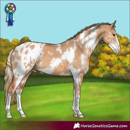 Horse Color:White Spotted Red Dun Sabino Varnish 