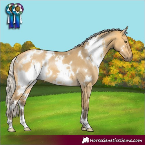 Horse Color:White Spotted Silver Buckskin Dun 