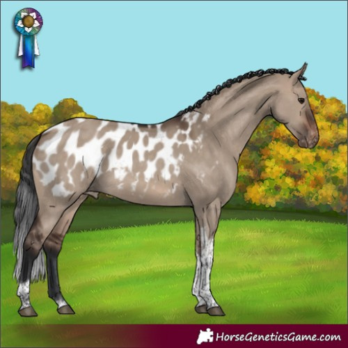 Horse Color:Brown Dun Tobiano Blanket 