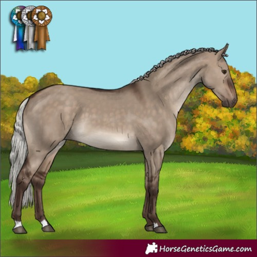 Horse Color:Silver Brown Dun 
