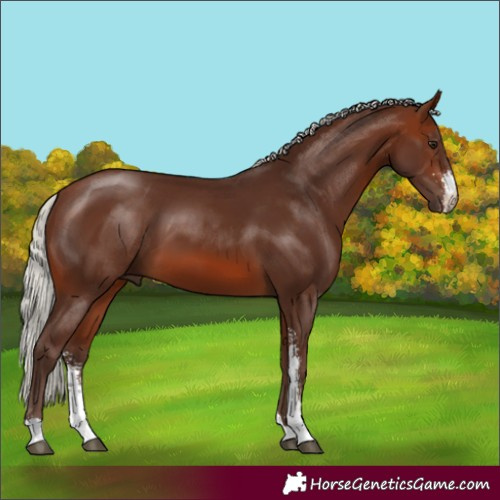 Horse Color:Silver Brown Sabino 