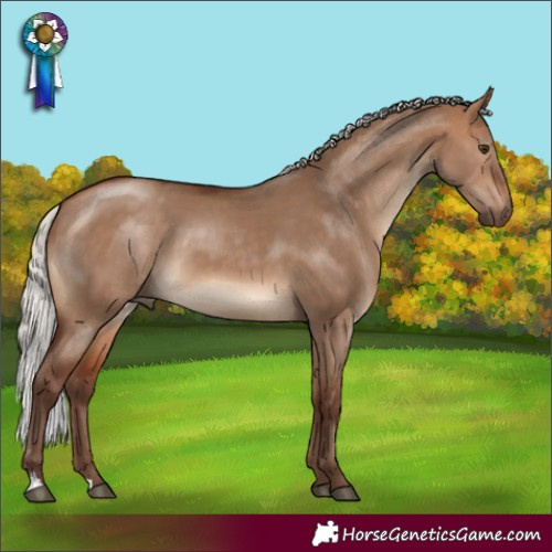 Horse Color:Silver Bay Dun