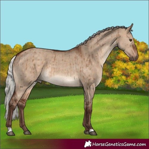 Horse Color:Silver Brown Dun Brindle 