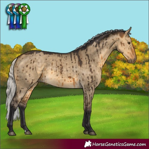 Horse Color:Silver Buckskin Dun Brindle 