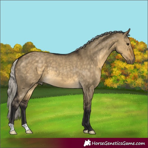 Horse Color:Silver Buckskin Dun
