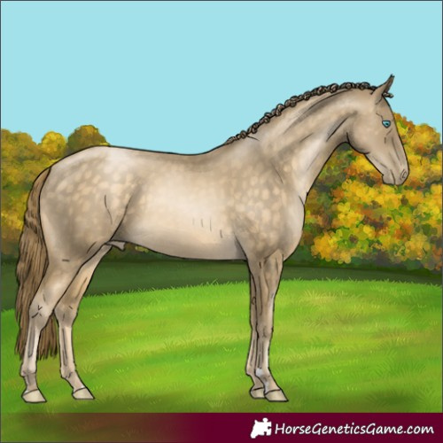 Horse Color:Buckskin Pearl Rabicano