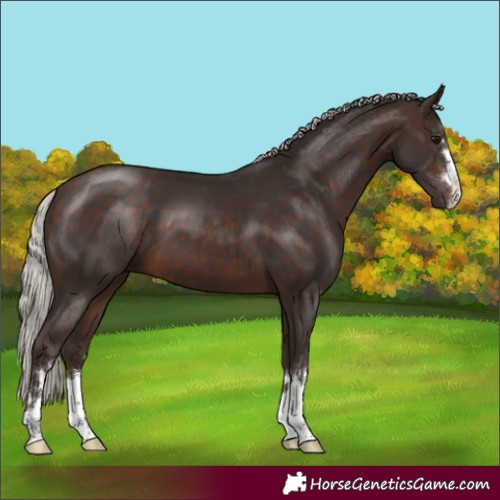 Horse Color:Silver Brown 