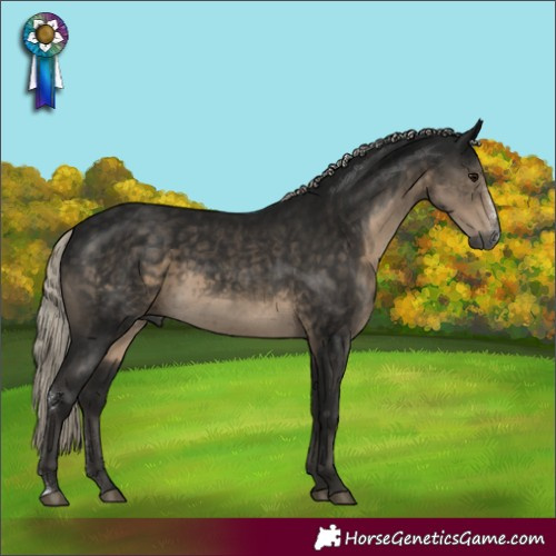 Horse Color:Gray Silver Smoky Black Sabino Rabicano