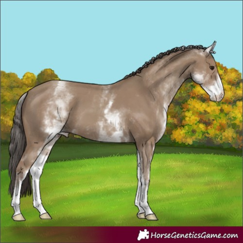 Horse Color:White Spotted Classic Champagne 