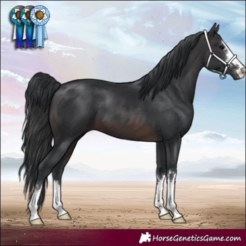 Horse Color:Brown 