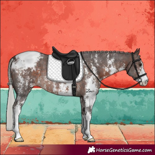 Horse Color:Silver Brown Sabino Varnish Rabicano