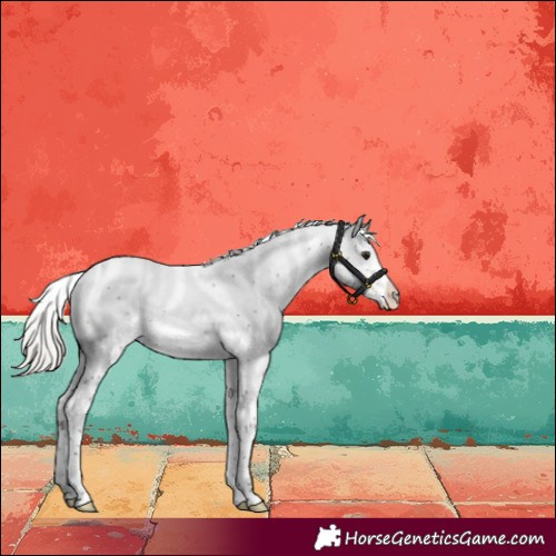 Horse Color:Silver Buckskin Sabino Varnish Rabicano