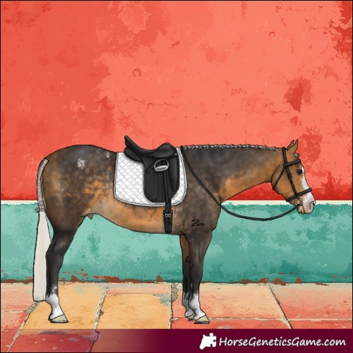 Horse Color:Silver Buckskin Varnish Rabicano 