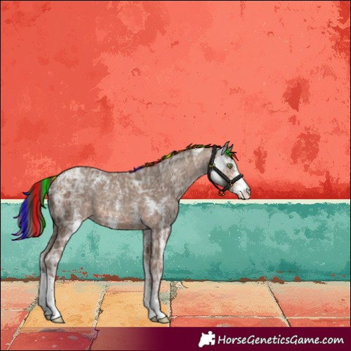 Horse Color:Painted Sable Champagne Ice Sabino Appaloosa 