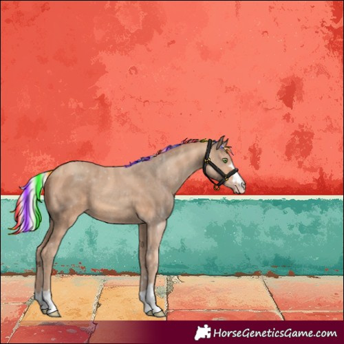 Horse Color:Painted Silver Sable Champagne
