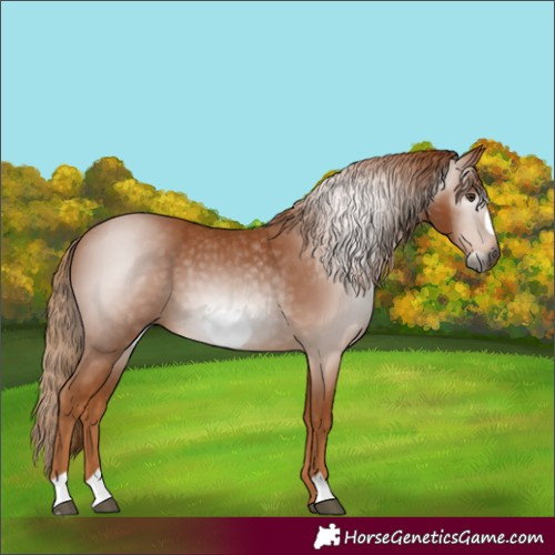 Horse Color:Unknown 