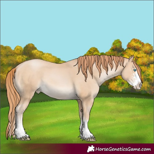 Horse Color:Unknown 