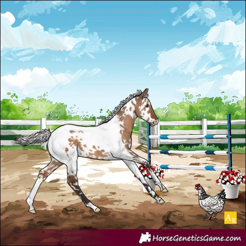 Horse Color:White Spotted Silver Brown Dun Splash Tobiano 