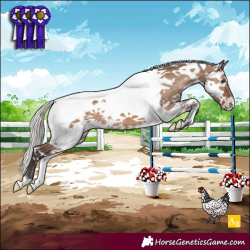 Horse Color:White Spotted Silver Brown Dun Splash Tobiano