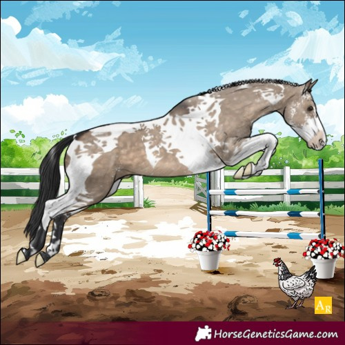 Horse Color:Brown Dun Sabino Tobiano
