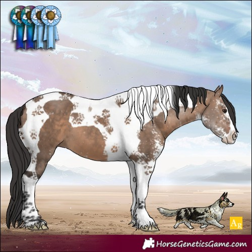 Horse Color:Brown Dun Sabino Tobiano