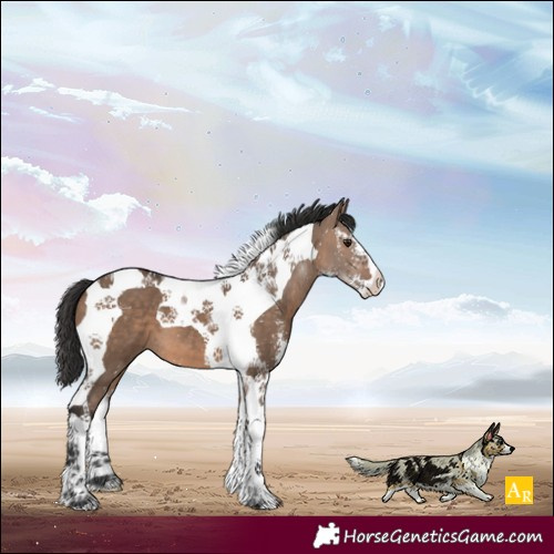 Horse Color:Brown Dun Sabino Tobiano 