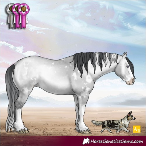 Horse Color:White Spotted Bay Chinchilla Onyx Mushroom Sabino Splash 