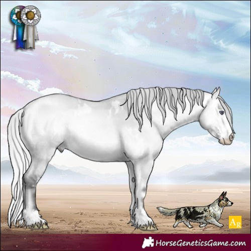 Horse Color:White Spotted Silver Buckskin Chinchilla Onyx Mushroom Sabino 
