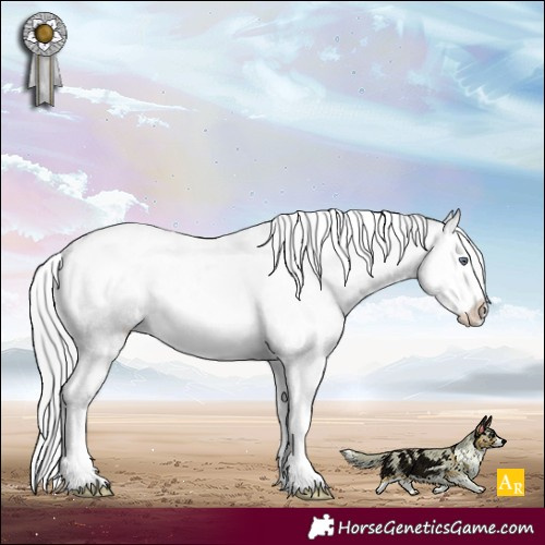 Horse Color:White Spotted Silver Brown Chinchilla Onyx Sabino Splash 