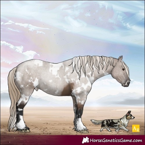 Horse Color:White Spotted Liver Red Dun