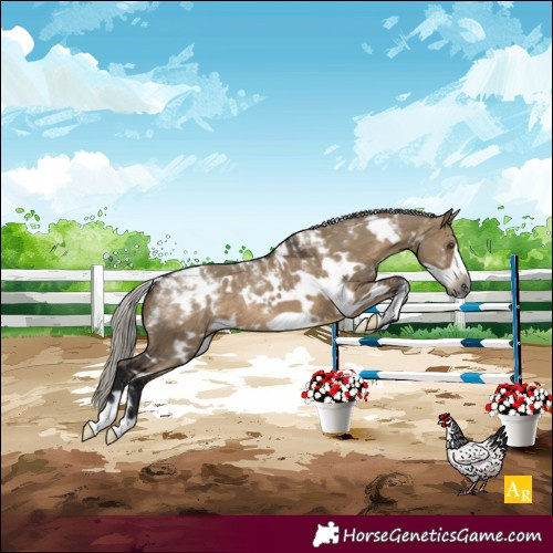 Horse Color:Powder White Gray White Spotted Silver Brown Dun Frame 