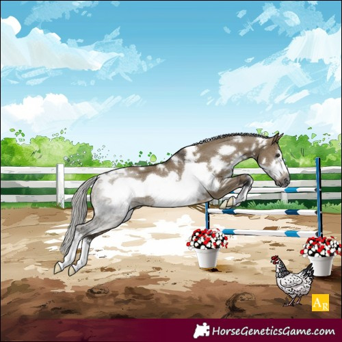 Horse Color:Gray White Spotted Silver Brown Dun Sabino Frame Rabicano 