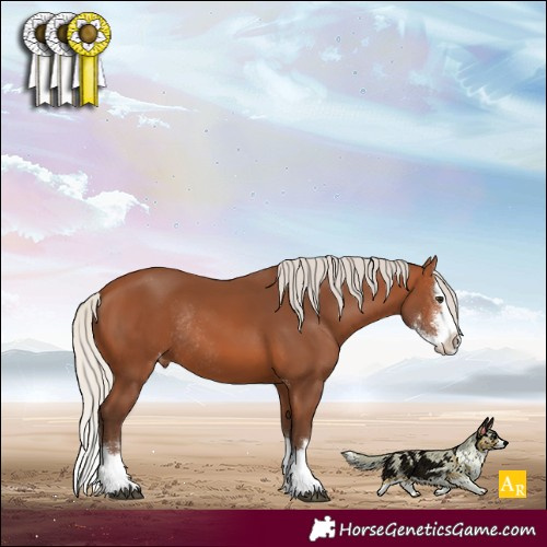 Horse Color:Silver Brown Sabino Splash Varnish Rabicano 