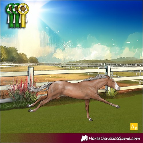 Horse Color:Silver Brown Pearl Sabino