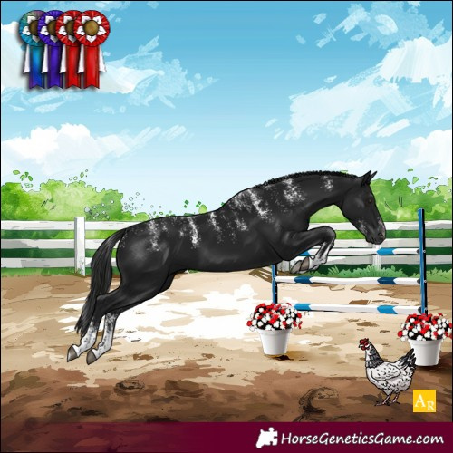 Horse Color:Powder White Gray Black