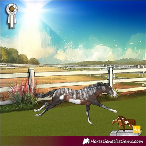 Horse Color:Powder White Brown Frame Varnish 