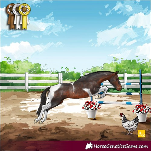 Horse Color:Brown Tobiano Varnish Rabicano 