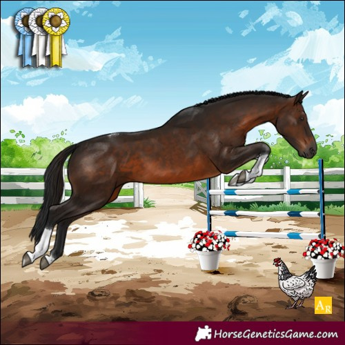 Horse Color:Gray Brown Tobiano 