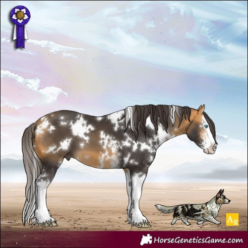Horse Color:White Spotted Buckskin Sabino Splash 