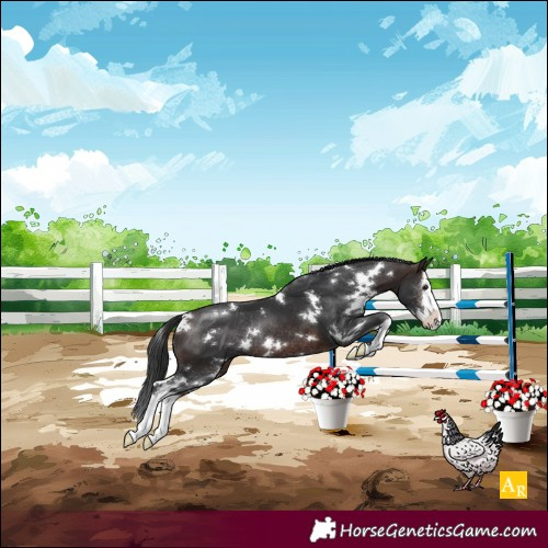 Horse Color:White Spotted Brown Splash Rabicano