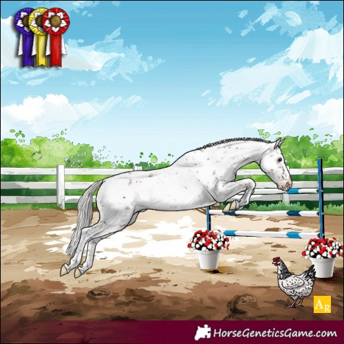 Horse Color:White Spotted Silver Brown Sabino Near Leopard Rabicano